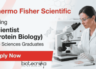 Freshers MSc Jobs – Life Sciences Apply for Scientist Role at Thermo Fisher Thermo Fisher Scientific Jobs for Life Science Students – Scientific Jobs in Biotechnology
