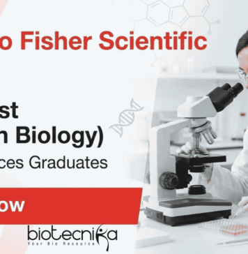 Freshers MSc Jobs – Life Sciences Apply for Scientist Role at Thermo Fisher Thermo Fisher Scientific Jobs for Life Science Students – Scientific Jobs in Biotechnology