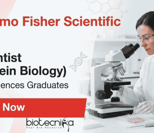 Thermo Fisher Scientific Jobs for Life Science Students – Scientific Jobs in Biotechnology