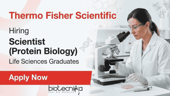 Thermo Fisher Scientific Jobs for Life Science Students – Scientific Jobs in Biotechnology Thermo Fisher Scientific Jobs for Life Science Students – Scientific Jobs in Biotechnology