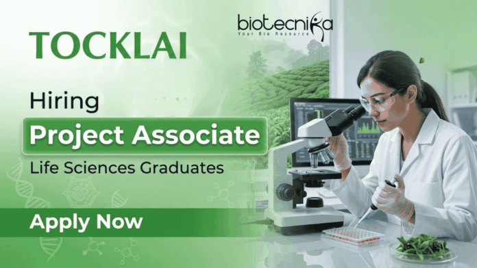 Project Associate Job Tocklai Vacancy Life Science Jobs Tea Research Association Recruitment
