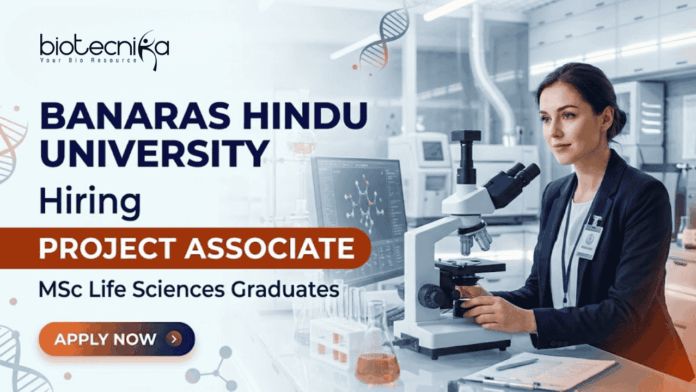 BHU recruitment project associate jobs life science research biotechnology BHU recruitment project associate jobs life science research biotechnology
