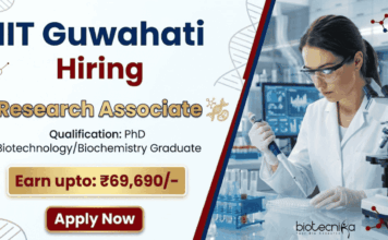 Research Associate Job at IIT Guwahati | Earn Rs. 69,690/- month| Biotechnology Jobs Apply Now Research Associate job IIT Guwahati Recruitment Biotechnology jobs apply