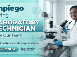 Laboratory technician jobs at Jhpiego careers | Microbiology jobs opportunity
