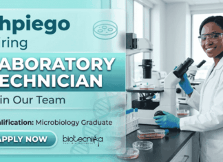 Laboratory Technician Jobs at Jhpiego Careers | Microbiology Jobs | Apply Now Laboratory technician jobs at Jhpiego careers | Microbiology jobs opportunity