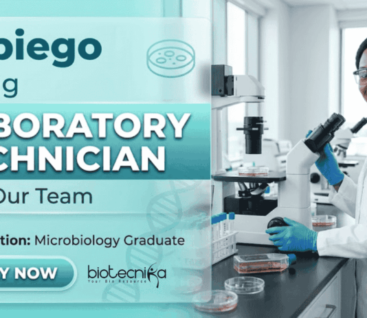 Laboratory technician jobs at Jhpiego careers | Microbiology jobs opportunity