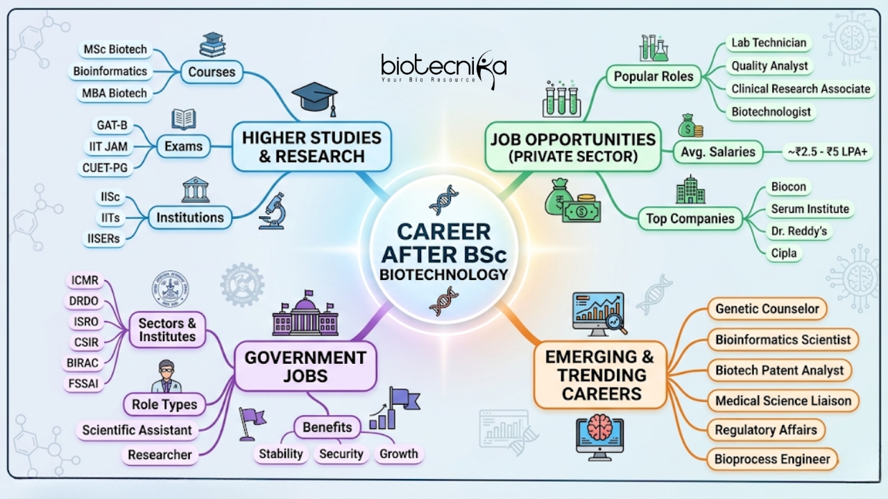 Career After BSc Biotechnology