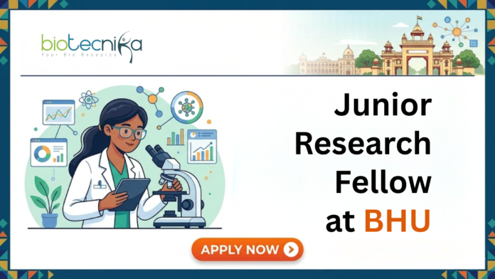 Junior Research Fellow at BHU. Life Sciences Candidates, Apply Now. ANRF-funded Biotechnology Opportunity. Earn Rs. 37,000 + 20% HRA pm. Junior Research Fellow at BHU. Life Sciences Candidates, Apply Now. ANRF-funded Biotechnology Opportunity. Earn Rs. 37,000 + 20% HRA pm.