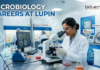 Microbiology Job at Lupin. Masters in Microbiology Candidates Apply Now For Executive Role. Job Opportunity in Maharashtra.