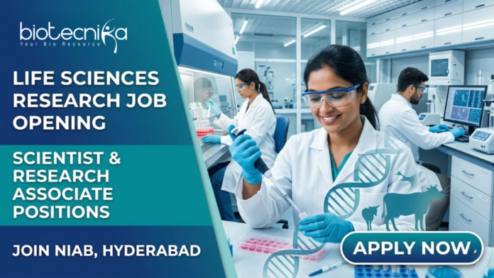 Life Sciences Research Job at NIAB (National Institute of Animal Biotechnology). Apply Now & Earn Upto ₹56,000. Life Sciences Research Job at NIAB (National Institute of Animal Biotechnology). Apply Now & Earn Upto ₹56,000.