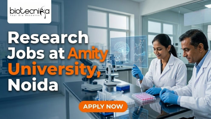 Research Jobs at Amity University, Noida. Biomedical Engineering Candidates, Apply Now and Get A Monthy Fellowship of ₹56,000/- + HRA.