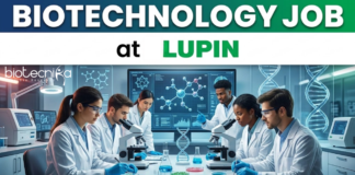 Biotechnology Job at Lupin. Start your Lupin Career in Bioprocessing today, Apply Now. Job Opportunity at Pune, India.
