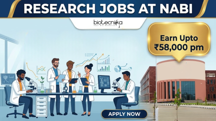 Research Jobs at NABI. Life Sciences Candidates, Attend The Walk-in Interview. Earn Upto ₹58,000 + HRA per month. Research Jobs at NABI. Life Sciences Candidates, Attend The Walk-in Interview. Earn Upto ₹58,000 + HRA per month.