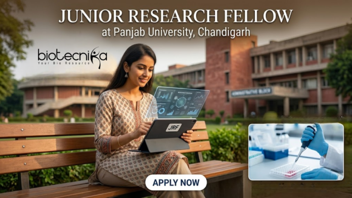 Junior Research Fellow at Panjab University. Plant Sciences Candidates, Apply Now. JRF openings in Plant Biology. Junior Research Fellow at Panjab University. Plant Sciences Candidates, Apply Now. JRF openings in Plant Biology.