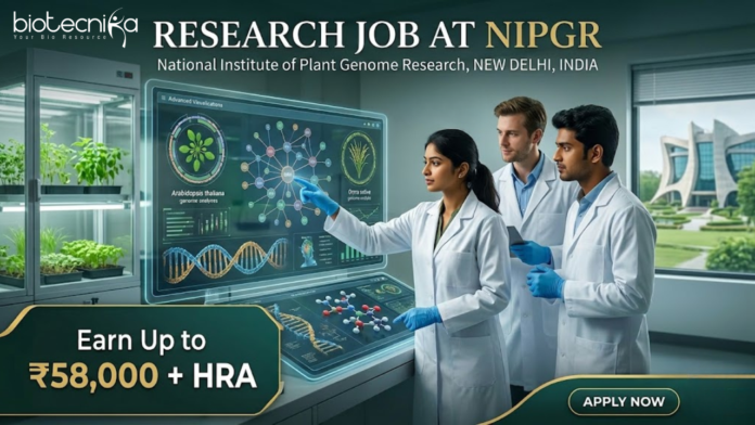 Research Jobs at NIPGR. Life Sciences Candidates, Attend The Walk-in Interview and Earn Up to ₹58,000 + HRA. Research Jobs at NIPGR. Life Sciences Candidates, Attend The Walk-in Interview and Earn Up to ₹58,000 + HRA.