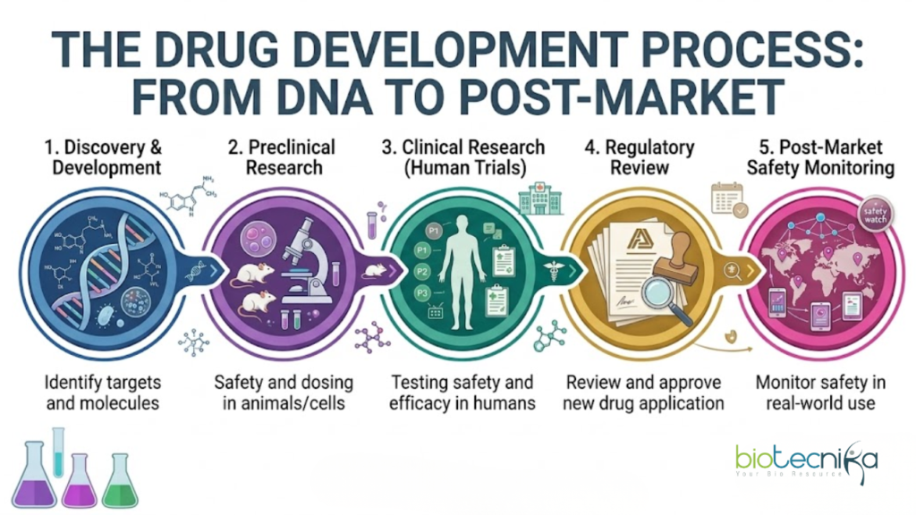 Biology Conference - Biological Knowledge Discovery (BKD) Conference 2026. Hybrid event focusing on Drug Discovery & Bioinformatics.