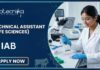 Life Sciences Technical Assistant Job at NIAB (National Institute of Animal Biotechnology), Hyderabad. Apply Now
