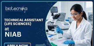 Life Sciences Technical Assistant Job at NIAB (National Institute of Animal Biotechnology), Hyderabad. Apply Now