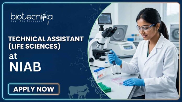 Life Sciences Technical Assistant Job at NIAB (National Institute of Animal Biotechnology), Hyderabad. Apply Now Life Sciences Technical Assistant Job at NIAB (National Institute of Animal Biotechnology), Hyderabad. Apply Now