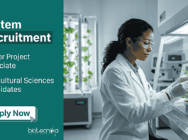 Agriculture Research Job at inStem | Life Sciences Candidates Apply Online Apply for inStem Recruitment 2026. Senior Project Associate position in Bangalore offering a great Life Science Career opportunity.