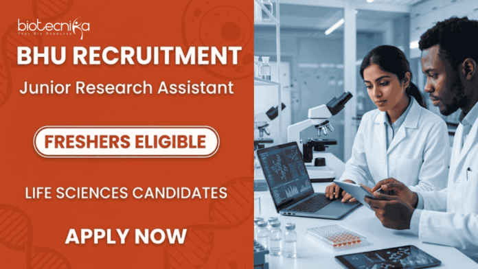 Apply for Research Jobs through BHU Recruitment . JRA Vacancy for Life Sciences Career aspirants. Check Eligibility, Salary, and Apply Now.