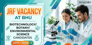 JRF Vacancy at Banaras Hindu University | Work on Environment and Sustainable Development Research Apply for JRF Vacancy under BHU Recruitment. Biotechnology Career Opportunity in CSIR Project. Check Eligibility and Apply Now.