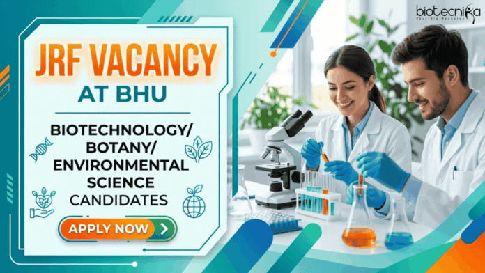 BHU (6) Apply for JRF Vacancy under BHU Recruitment. Biotechnology Career Opportunity in CSIR Project. Check Eligibility and Apply Now.