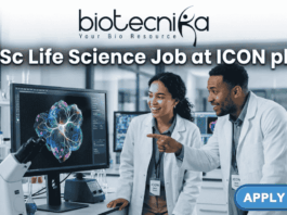 BSc Life Science Job Alert – ICON Hiring Clinical Data Coordinator II in Bangalore! A professional job posting image for a "BSc Life Science Job at ICON plc." The image features two scientists in white lab coats collaborating in a modern, high-tech laboratory, looking excitedly at a vibrant, colorful biological scan on a computer monitor. The Biotecnika logo is positioned at the top center, and a prominent green "APPLY NOW" button is located in the bottom right corner. The overall atmosphere is professional, innovative, and engaging.