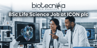 BSc Life Science Job Alert – ICON Hiring Clinical Data Coordinator II in Bangalore! A professional job posting image for a "BSc Life Science Job at ICON plc." The image features two scientists in white lab coats collaborating in a modern, high-tech laboratory, looking excitedly at a vibrant, colorful biological scan on a computer monitor. The Biotecnika logo is positioned at the top center, and a prominent green "APPLY NOW" button is located in the bottom right corner. The overall atmosphere is professional, innovative, and engaging.
