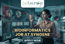 Dream Bioinformatics Job at Syngene | Associate Scientist Role You Can’t Miss! A high-tech promotional graphic for a Bioinformatics Job at Syngene, featuring the Biotecnika logo at the top. The image depicts a female scientist in a professional office setting, using a digital stylus to interact with glowing, transparent holographic screens. These displays show complex biological data, including 3D molecular protein structures, genetic heatmaps, and phylogenetic trees. In the background, a modern laboratory with other researchers is visible. The central text reads "BIOINFORMATICS JOB AT SYNGENE" in bold gold lettering, with a dark blue "APPLY NOW" button located at the bottom center.