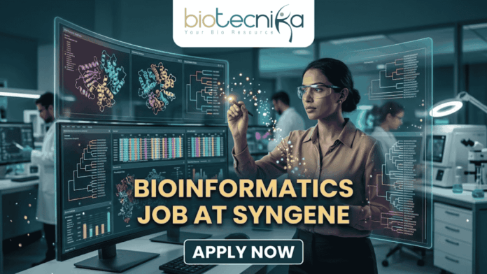 A high-tech promotional graphic for a Bioinformatics Job at Syngene, featuring the Biotecnika logo at the top. The image depicts a female scientist in a professional office setting, using a digital stylus to interact with glowing, transparent holographic screens. These displays show complex biological data, including 3D molecular protein structures, genetic heatmaps, and phylogenetic trees. In the background, a modern laboratory with other researchers is visible. The central text reads "BIOINFORMATICS JOB AT SYNGENE" in bold gold lettering, with a dark blue "APPLY NOW" button located at the bottom center.