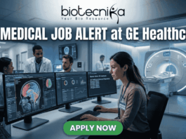 Biomedical Job at GE Healthcare Clinical Specialist Role. A professional featured image for a Biomedical Job Alert at GE Healthcare. The Biotecnika logo is positioned at the top center. The main scene shows a female biomedical professional sitting at a modern workstation with dual monitors displaying high-resolution brain scans (MRI/CT) and complex data analytics. In the background, other colleagues in white lab coats are visible in a brightly lit, high-tech clinical environment. Behind a glass partition, a large, state-of-the-art medical imaging scanner is featured. At the bottom, a prominent green button reads "APPLY NOW." The image uses a professional blue and white color palette to emphasize a cutting-edge healthcare setting.