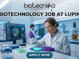 Biotechnology Job Alert! Lupin Careers Hiring Postgraduate Candidates | Apply Now Biotechnology Job at Lupin Postgraduate Candidates Apply Now. A professional featured image for a biotechnology job opening at Lupin. The scene depicts a female scientist in a modern, high-tech laboratory wearing a white lab coat and safety gear, working with a multichannel pipette and a multi-well plate. The background shows computer monitors with molecular structures and advanced lab equipment. The image includes the Biotecnika logo at the top center, the bold text "BIOTECHNOLOGY JOB AT LUPIN" in the middle, and a prominent "APPLY NOW" button at the bottom.