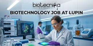 Biotechnology Job Alert! Lupin Careers Hiring Postgraduate Candidates | Apply Now Biotechnology Job at Lupin Postgraduate Candidates Apply Now. A professional featured image for a biotechnology job opening at Lupin. The scene depicts a female scientist in a modern, high-tech laboratory wearing a white lab coat and safety gear, working with a multichannel pipette and a multi-well plate. The background shows computer monitors with molecular structures and advanced lab equipment. The image includes the Biotecnika logo at the top center, the bold text "BIOTECHNOLOGY JOB AT LUPIN" in the middle, and a prominent "APPLY NOW" button at the bottom.