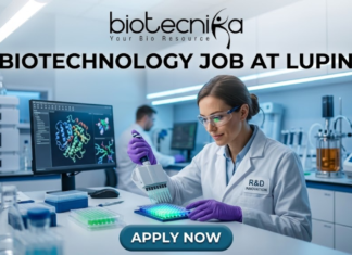 Biotechnology Job Alert! Lupin Careers Hiring Postgraduate Candidates | Apply Now Biotechnology Job at Lupin Postgraduate Candidates Apply Now. A professional featured image for a biotechnology job opening at Lupin. The scene depicts a female scientist in a modern, high-tech laboratory wearing a white lab coat and safety gear, working with a multichannel pipette and a multi-well plate. The background shows computer monitors with molecular structures and advanced lab equipment. The image includes the Biotecnika logo at the top center, the bold text "BIOTECHNOLOGY JOB AT LUPIN" in the middle, and a prominent "APPLY NOW" button at the bottom.