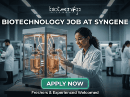 Biotechnology Job at Syngene Bangalore. A minimalist black text-based logo on a plain white background, featuring the primary word "biotecnika" in a modern, lower-case sans-serif font. Below the main name, the tagline "Your Bio Resource" is in a smaller, spaced-out serif font. Integrated into the right side of the "biotecnika" text is a stylized, single-line glyph of an abstract human figure with an outstretched arm.