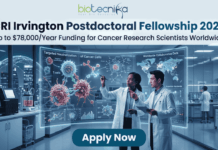 CRI Irvington Postdoctoral Fellowship 2026: Up to $78,000/Year Funding for Cancer Research Scientists Worldwide A high-tech promotional graphic for the CRI Irvington Postdoctoral Fellowship 2026, featuring the Biotecnika logo at the top. The main headline reads "CRI Irvington Postdoctoral Fellowship 2026" with a sub-headline: "Up to $78,000/Year Funding for Cancer Research Scientists Worldwide." In a futuristic, dimly lit laboratory with a night-time city skyline visible through floor-to-ceiling windows, two scientists—a woman and a man in white lab coats—interact with a large, glowing cyan holographic interface. The display shows a detailed 3D model titled "Targeted Neutralization of Cancer Cells" alongside a world map labeled "Worldwide Collaborative Data," symbolizing global research impact. At the bottom center, a prominent dark teal "Apply Now" button stands out against the sleek laboratory environment.