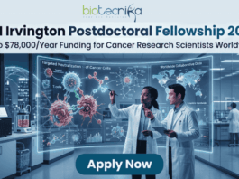 A high-tech promotional graphic for the CRI Irvington Postdoctoral Fellowship 2026, featuring the Biotecnika logo at the top. The main headline reads "CRI Irvington Postdoctoral Fellowship 2026" with a sub-headline: "Up to $78,000/Year Funding for Cancer Research Scientists Worldwide." In a futuristic, dimly lit laboratory with a night-time city skyline visible through floor-to-ceiling windows, two scientists—a woman and a man in white lab coats—interact with a large, glowing cyan holographic interface. The display shows a detailed 3D model titled "Targeted Neutralization of Cancer Cells" alongside a world map labeled "Worldwide Collaborative Data," symbolizing global research impact. At the bottom center, a prominent dark teal "Apply Now" button stands out against the sleek laboratory environment.