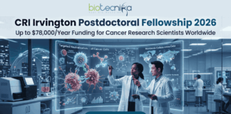 CRI Irvington Postdoctoral Fellowship 2026: Up to $78,000/Year Funding for Cancer Research Scientists Worldwide A high-tech promotional graphic for the CRI Irvington Postdoctoral Fellowship 2026, featuring the Biotecnika logo at the top. The main headline reads "CRI Irvington Postdoctoral Fellowship 2026" with a sub-headline: "Up to $78,000/Year Funding for Cancer Research Scientists Worldwide." In a futuristic, dimly lit laboratory with a night-time city skyline visible through floor-to-ceiling windows, two scientists—a woman and a man in white lab coats—interact with a large, glowing cyan holographic interface. The display shows a detailed 3D model titled "Targeted Neutralization of Cancer Cells" alongside a world map labeled "Worldwide Collaborative Data," symbolizing global research impact. At the bottom center, a prominent dark teal "Apply Now" button stands out against the sleek laboratory environment.