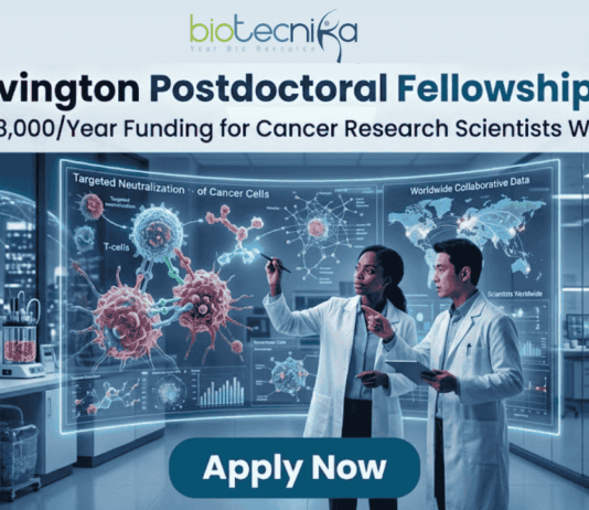 CRI Irvington Postdoctoral Fellowship 2026: Up to $78,000/Year Funding for Cancer Research Scientists Worldwide A high-tech promotional graphic for the CRI Irvington Postdoctoral Fellowship 2026, featuring the Biotecnika logo at the top. The main headline reads "CRI Irvington Postdoctoral Fellowship 2026" with a sub-headline: "Up to $78,000/Year Funding for Cancer Research Scientists Worldwide." In a futuristic, dimly lit laboratory with a night-time city skyline visible through floor-to-ceiling windows, two scientists—a woman and a man in white lab coats—interact with a large, glowing cyan holographic interface. The display shows a detailed 3D model titled "Targeted Neutralization of Cancer Cells" alongside a world map labeled "Worldwide Collaborative Data," symbolizing global research impact. At the bottom center, a prominent dark teal "Apply Now" button stands out against the sleek laboratory environment.