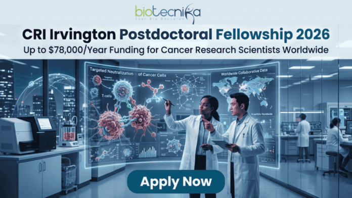 CRI Irvington Postdoctoral Fellowship 2026 Up to $78,000Year Funding for Cancer Research Scientists Worldwide A high-tech promotional graphic for the CRI Irvington Postdoctoral Fellowship 2026, featuring the Biotecnika logo at the top. The main headline reads "CRI Irvington Postdoctoral Fellowship 2026" with a sub-headline: "Up to $78,000/Year Funding for Cancer Research Scientists Worldwide." In a futuristic, dimly lit laboratory with a night-time city skyline visible through floor-to-ceiling windows, two scientists—a woman and a man in white lab coats—interact with a large, glowing cyan holographic interface. The display shows a detailed 3D model titled "Targeted Neutralization of Cancer Cells" alongside a world map labeled "Worldwide Collaborative Data," symbolizing global research impact. At the bottom center, a prominent dark teal "Apply Now" button stands out against the sleek laboratory environment.