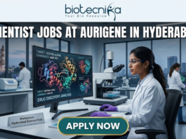 Scientist Jobs at Aurigene in Hyderabad. A high-quality, professional featured image for "Scientist Jobs at Aurigene in Hyderabad." The scene depicts a female scientist in a white lab coat and purple gloves working in a sophisticated laboratory. She is focused on a large monitor displaying vibrant 3D molecular structures under the heading "Drug Discovery Analysis." Her desk features a modern microscope and a small plaque that says "Workplace: Hyderabad Science Hub." In the background, the iconic Charminar is visible through a large window, establishing the Hyderabad setting. The Biotecnika logo is positioned at the top center, the job title is in bold white lettering, and a prominent "APPLY NOW" button is at the bottom.