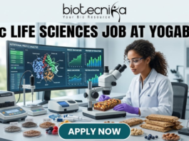 BSc Life Sciences Job at Yogabar Careers | Apply Now. A high-quality, professional featured image for a "BSc Life Sciences Job at Yogabar." The scene depicts a female food scientist in a white lab coat and safety goggles in a bright, modern food science laboratory. She is carefully examining a healthy snack bar under a professional microscope. On her desk are raw ingredients like chia seeds, flax seeds, and berries, alongside advanced lab equipment like a moisture analyzer. A large computer monitor in the background displays complex "Nutritional Profile Analysis" and 3D protein structures. The Biotecnika logo is at the top, the main job title is in bold black text, and a prominent "APPLY NOW" button is at the bottom.