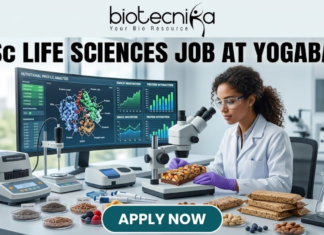 BSc Life Sciences Job at Yogabar Careers | Apply Now. A high-quality, professional featured image for a "BSc Life Sciences Job at Yogabar." The scene depicts a female food scientist in a white lab coat and safety goggles in a bright, modern food science laboratory. She is carefully examining a healthy snack bar under a professional microscope. On her desk are raw ingredients like chia seeds, flax seeds, and berries, alongside advanced lab equipment like a moisture analyzer. A large computer monitor in the background displays complex "Nutritional Profile Analysis" and 3D protein structures. The Biotecnika logo is at the top, the main job title is in bold black text, and a prominent "APPLY NOW" button is at the bottom.