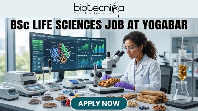 BSc Life Sciences Job at Yogabar Careers | Apply Now. A high-quality, professional featured image for a "BSc Life Sciences Job at Yogabar." The scene depicts a female food scientist in a white lab coat and safety goggles in a bright, modern food science laboratory. She is carefully examining a healthy snack bar under a professional microscope. On her desk are raw ingredients like chia seeds, flax seeds, and berries, alongside advanced lab equipment like a moisture analyzer. A large computer monitor in the background displays complex "Nutritional Profile Analysis" and 3D protein structures. The Biotecnika logo is at the top, the main job title is in bold black text, and a prominent "APPLY NOW" button is at the bottom.