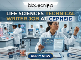 Life Sciences Job Alert| Cepheid Hiring Technical Writer. A professional recruitment image for a "Life Sciences Technical Writer Job at Cepheid." The scene features a female professional in a lab setting interacting with a futuristic transparent digital display showing 3D viral structures and DNA strands. In the foreground, stacked binders are clearly labeled "PROTOCOL DEVELOPMENT," "TECHNICAL MANUAL," and "TECHNICAL DOCUMENTATION." The Biotecnika logo is positioned at the top center, and a bold "APPLY NOW" button is at the bottom. The background shows a high-tech laboratory with researchers and bioreactor equipment.