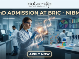 PhD Admission At BRIC - NIBMG | Fully Funded Research. A sleek, high-tech professional featured image for "PhD Admission At BRIC - NIBMG." The image features a focused female researcher in a white lab coat and safety glasses, interacting with a glowing, holographic 3D DNA helix in a modern genomic laboratory. The background shows other scientists working with advanced sequencing equipment and large curved monitors displaying genomic mapping data. The Biotecnika logo is at the top center, the main title is in elegant gold and white lettering, and a glowing "APPLY NOW" button is positioned at the bottom.