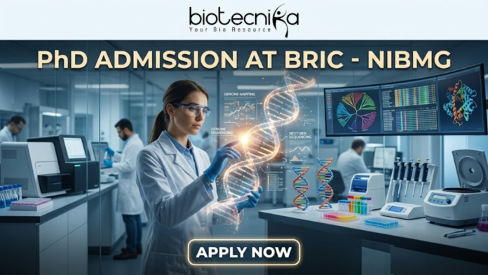 PhD Admission At BRIC - NIBMG | Fully Funded Research PhD Admission At BRIC - NIBMG | Fully Funded Research. A sleek, high-tech professional featured image for "PhD Admission At BRIC - NIBMG." The image features a focused female researcher in a white lab coat and safety glasses, interacting with a glowing, holographic 3D DNA helix in a modern genomic laboratory. The background shows other scientists working with advanced sequencing equipment and large curved monitors displaying genomic mapping data. The Biotecnika logo is at the top center, the main title is in elegant gold and white lettering, and a glowing "APPLY NOW" button is positioned at the bottom.