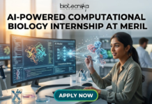 AI-Powered Computational Biology Internship at Meril | Apply Now. A high-tech promotional image for an "AI-Powered Computational Biology Internship at Meril," featuring the Biotecnika Global logo at the top and a prominent teal "APPLY NOW" button at the bottom. The scene shows a focused young woman in a modern, sunlit research lab, sitting at a desk with a large curved monitor. She is using a digital stylus to interact with a glowing 3D protein structure that appears to float between her and the screen. The monitor displays an "AI Model" neural network diagram and complex biological data. On the desk are scientific tools like pipettes and a DNA double-helix model, creating a sophisticated and innovative atmosphere.