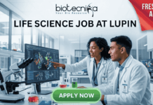 Freshers Alert! Life Science Job at Lupin | Graduates Apply Now. Featured image for a Life Science job opening at Lupin, featuring two young scientists in a modern laboratory. One scientist points at a high-tech monitor displaying colorful 3D protein structures while they collaborate. The image includes the Biotecnika logo at the top, a red "FRESHERS ALERT!" banner in the top right corner, and a prominent green "APPLY NOW" button at the bottom. Central text reads: "LIFE SCIENCE JOB AT LUPIN - Build Your Career with a Leading Pharmaceutical Leader."